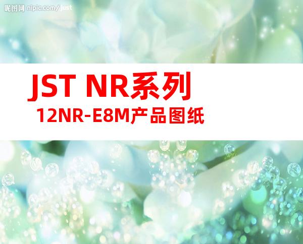 JST NR系列 12NR-E8M产品图纸